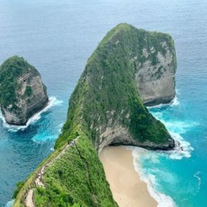 kelingking beach nusa penida japanese tour.jpg