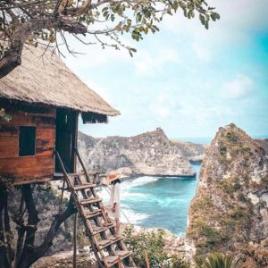tree house nusa penida east japanese tour.jpg
