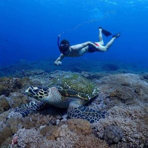 turtle point snorkeling nusa penida japanese tour.jpg