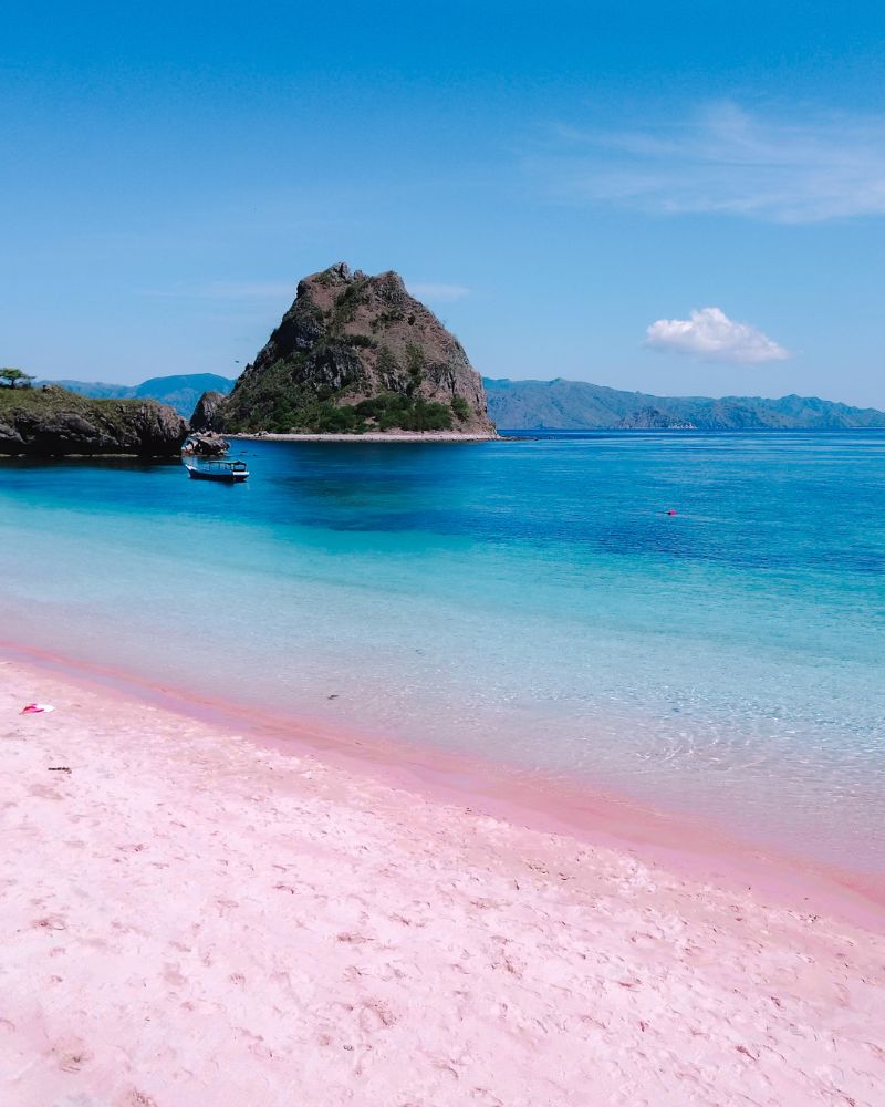 pink beach komodo